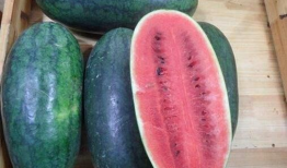 黑爆料吃瓜,娱乐圈吃瓜群众热议幕后真相