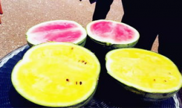 西安最新吃瓜爆料信息,揭秘网红美食背后的秘密风暴